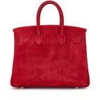 Birkin 25 Palladium Hardware Rouge Vif Doblis