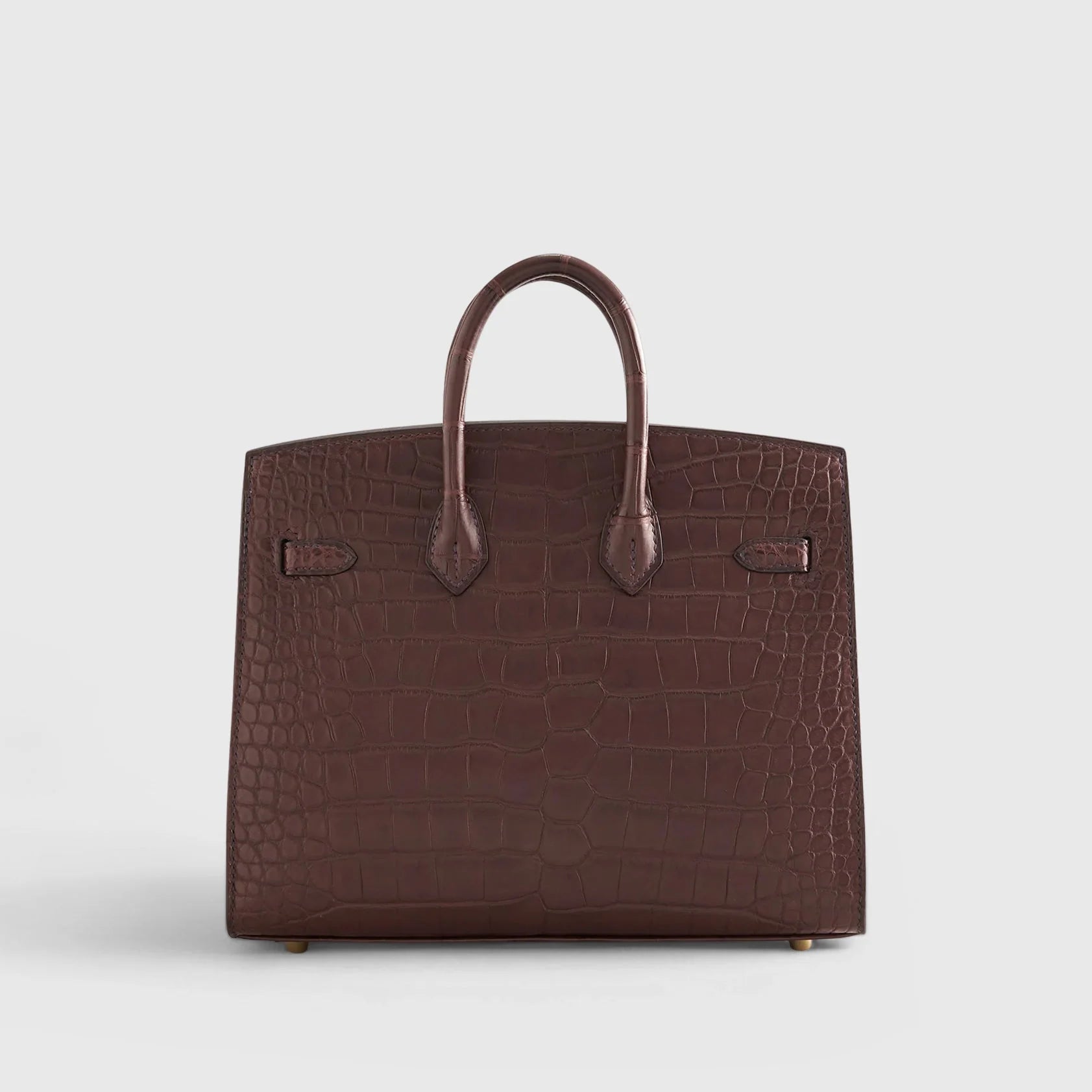 Birkin 20 Alligator Havane Gold Hardware Matte