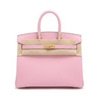 Birkin 25 Sellier Mauve Sylvestre Epsom Gold Hardware