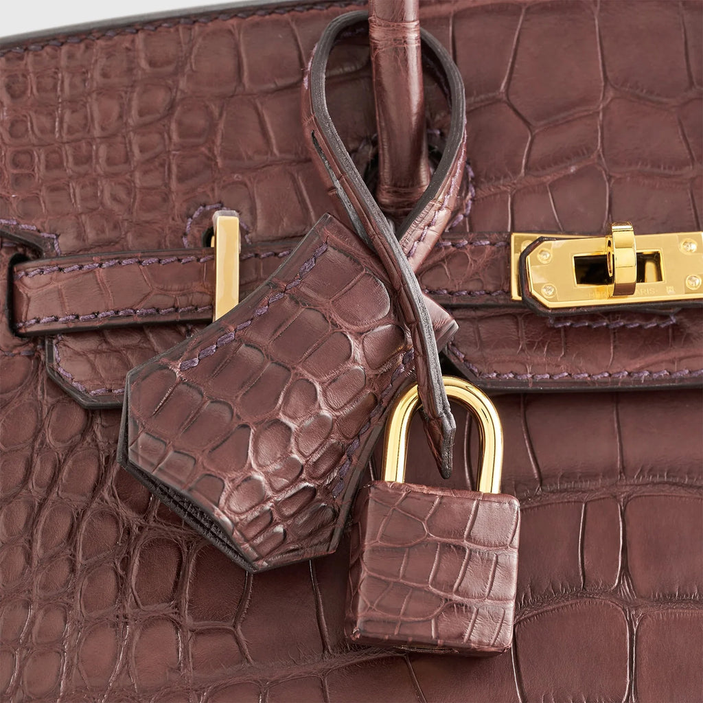 Birkin 20 Alligator Havane Gold Hardware Matte