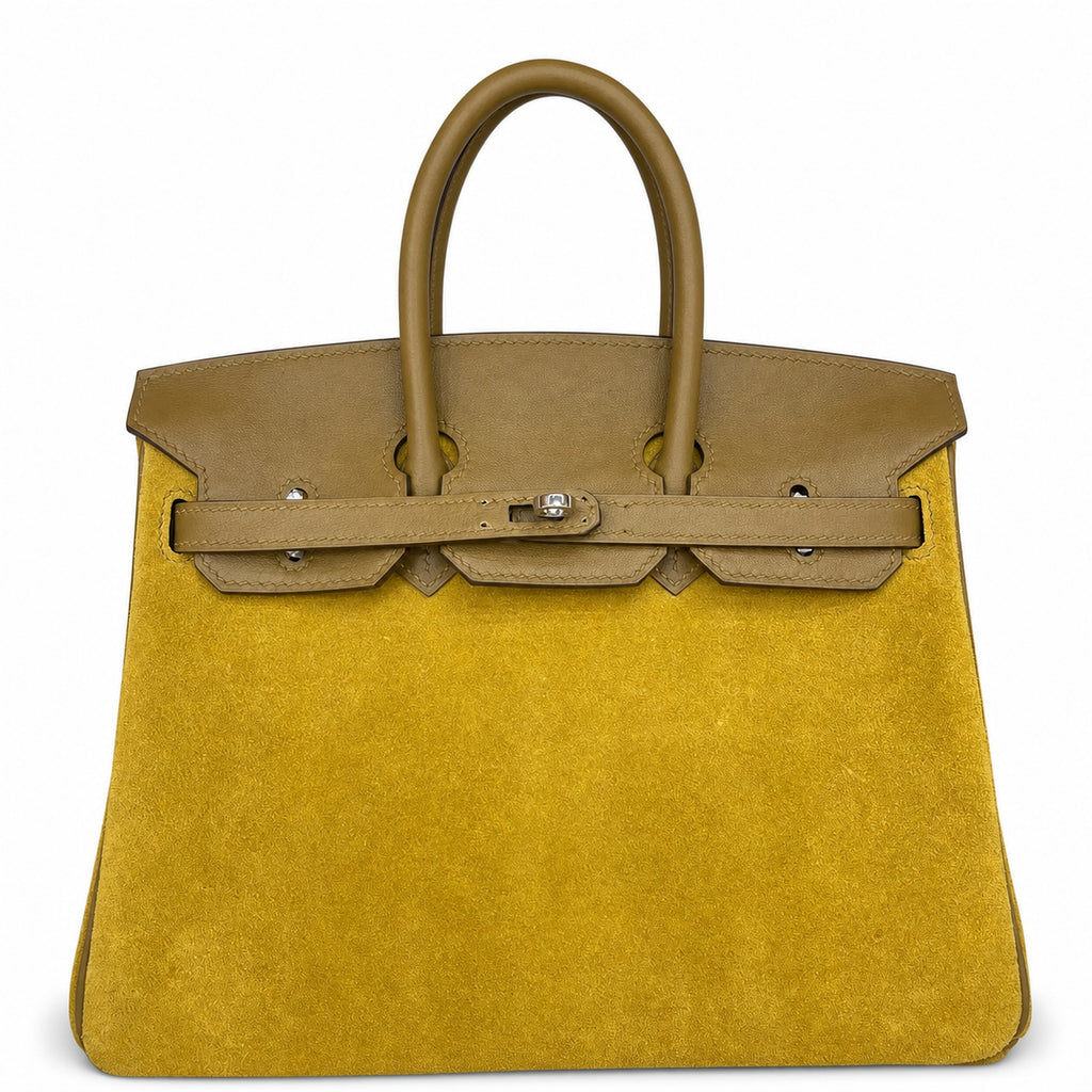 Mini Birkin 25cm Grizzly Edition in Weimaraner Beige & Suede (Silver Hardware)