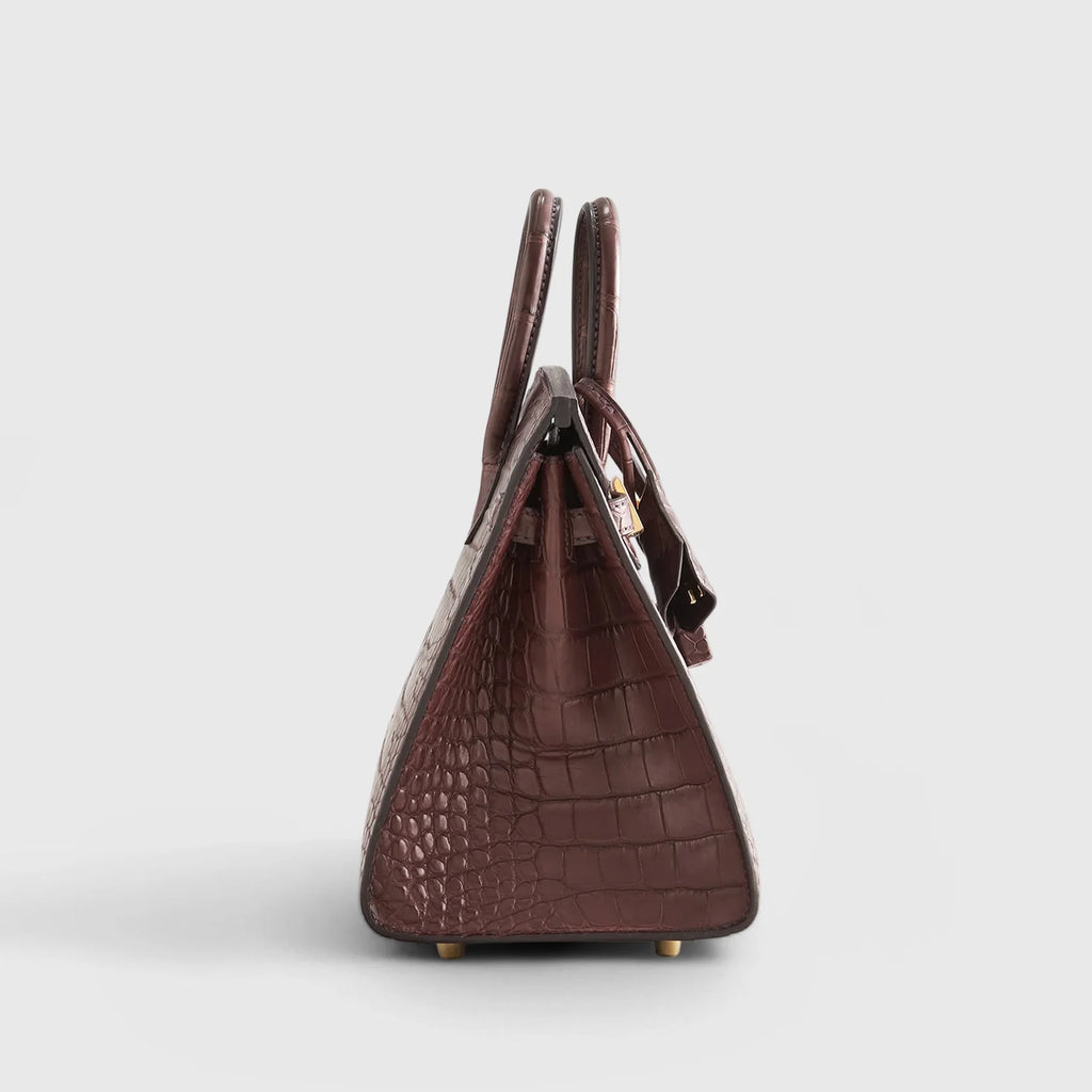 Birkin 20 Alligator Havane Gold Hardware Matte