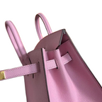 Birkin 25 Sellier Mauve Sylvestre Epsom Gold Hardware