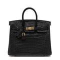Black Matte Alligator Baby Birkin 20cm Gold Hardware