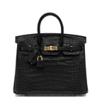 Black Matte Alligator Baby Birkin 20cm Gold Hardware