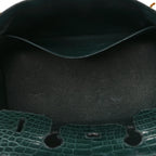 Birkin Vert Titien Matte Alligator Gold Hardware
