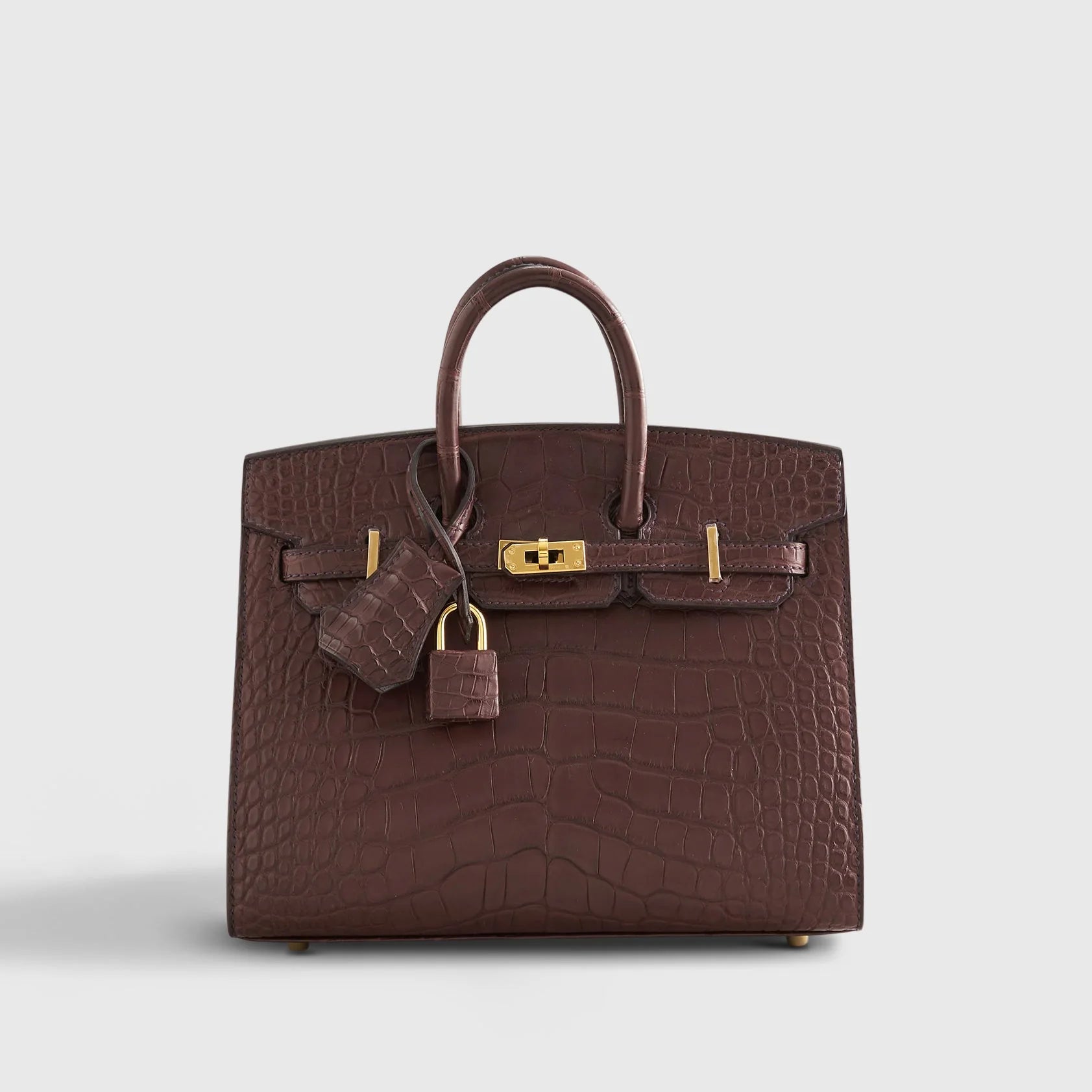 Birkin 20 Alligator Havane Gold Hardware Matte