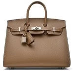 Etoupe Epsom Birkin 25 Sellier Palladium Hardware