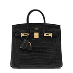 Black Matte Alligator Baby Birkin 20cm Gold Hardware