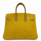Mini Birkin 25cm Grizzly Edition in Weimaraner Beige & Suede (Silver Hardware)