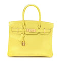 Birkin25 Sellier Jaune Milton Veau Epsom Silver Handbag