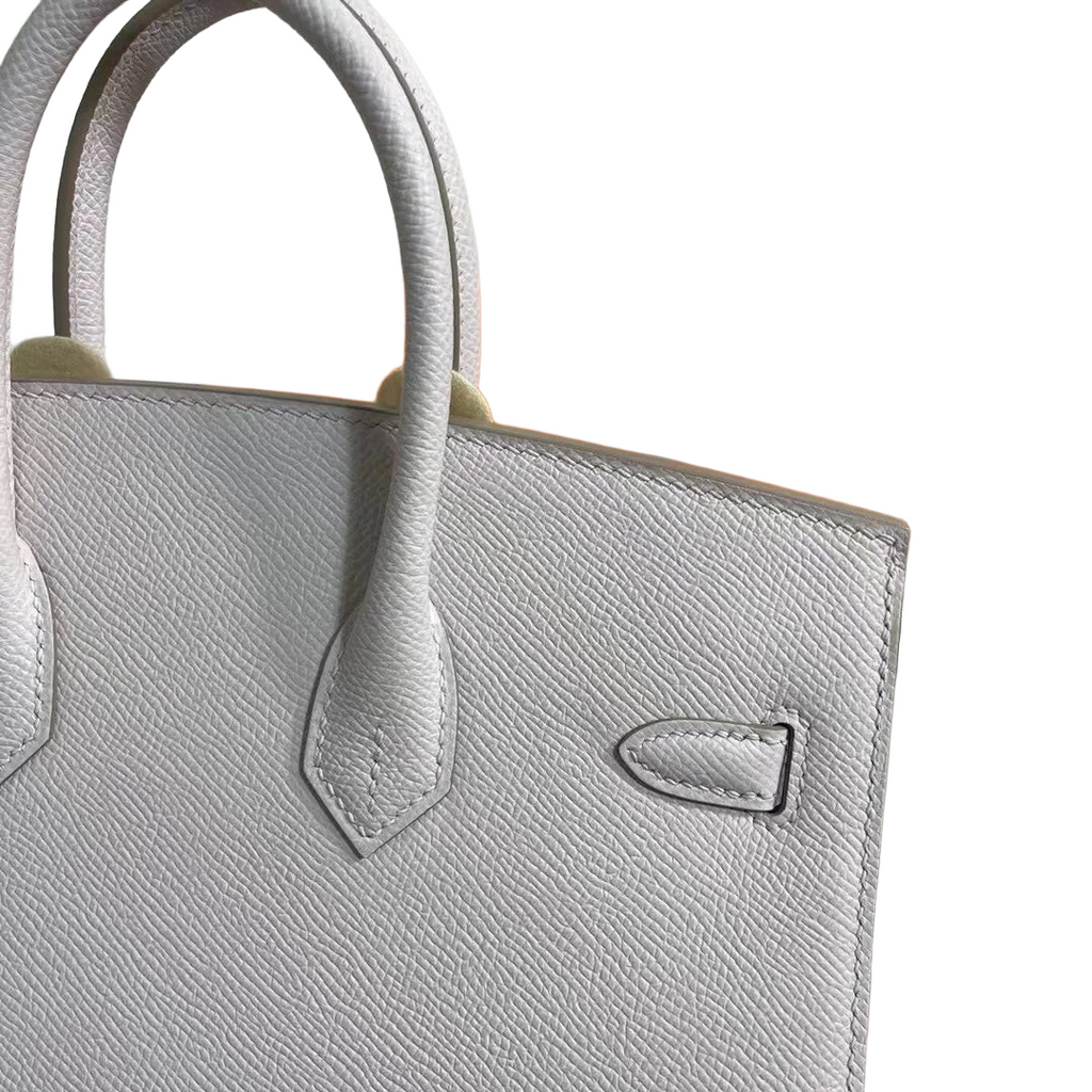 Hermès Birkin 25 Sellier Mauve Pale Epsom Silver Hardware