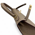 Hermès Kelly Sellier 25 Ostrich Etoupe Gold Hardware