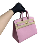 Birkin 25 Sellier Mauve Sylvestre Epsom Gold Hardware